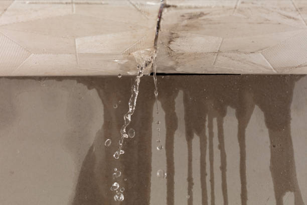 Professional Flood Damage Cleanup technician working in Carson, WA